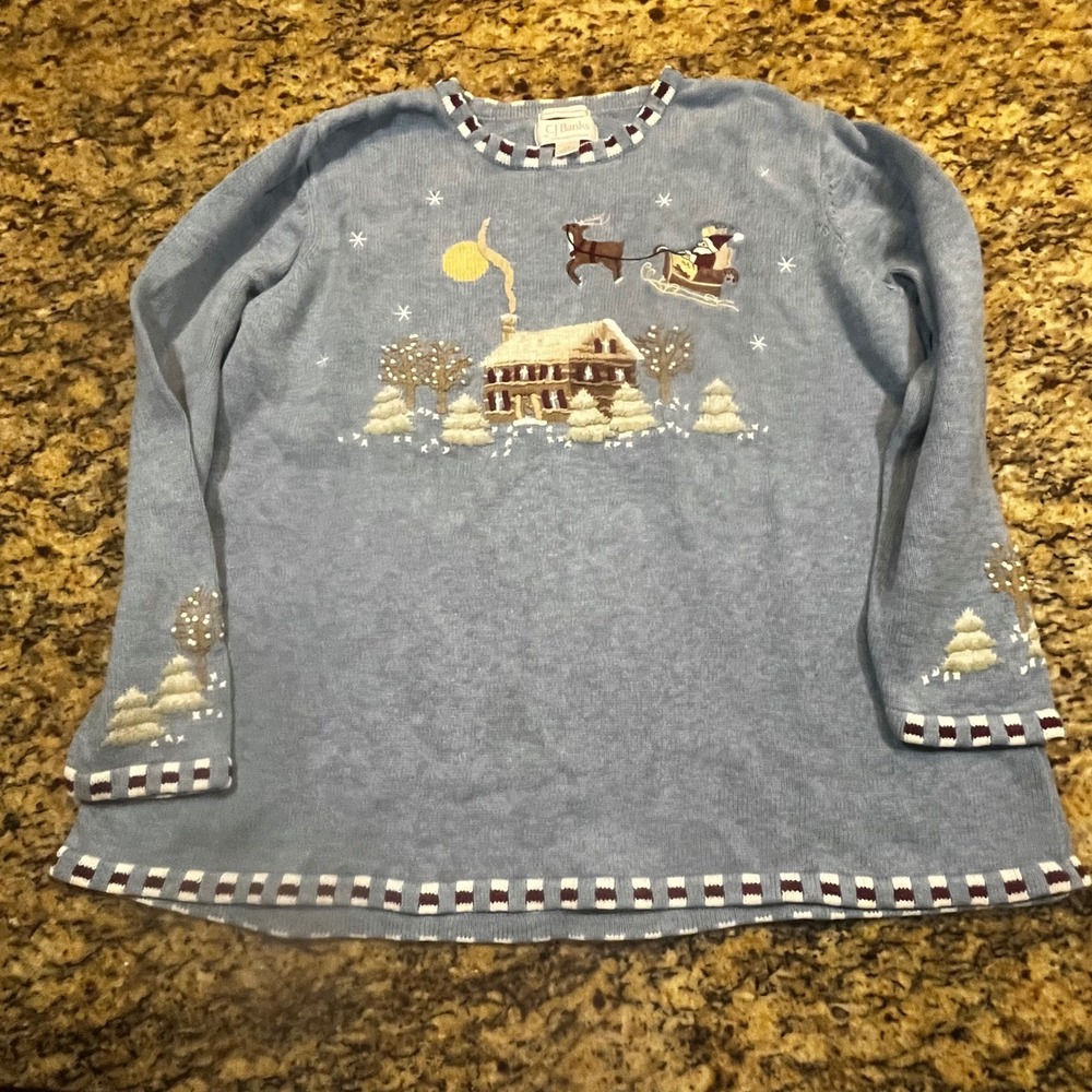CJ‎ Banks Christopher & Banks Blue Christmas Sweater Santa Sleigh Embroidered 2X